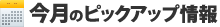 今月のピックアップ情報